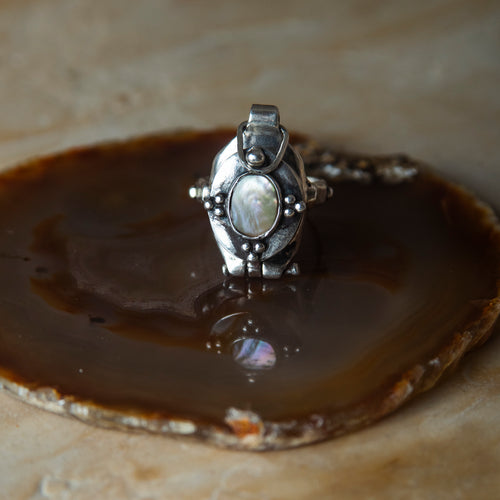 ANILLO GUARDA SECRETOS