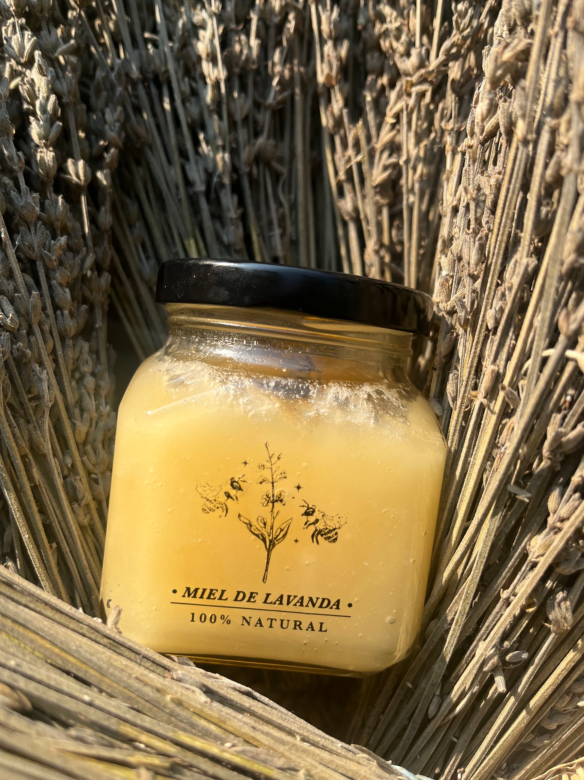 MIEL DE LAVANDA