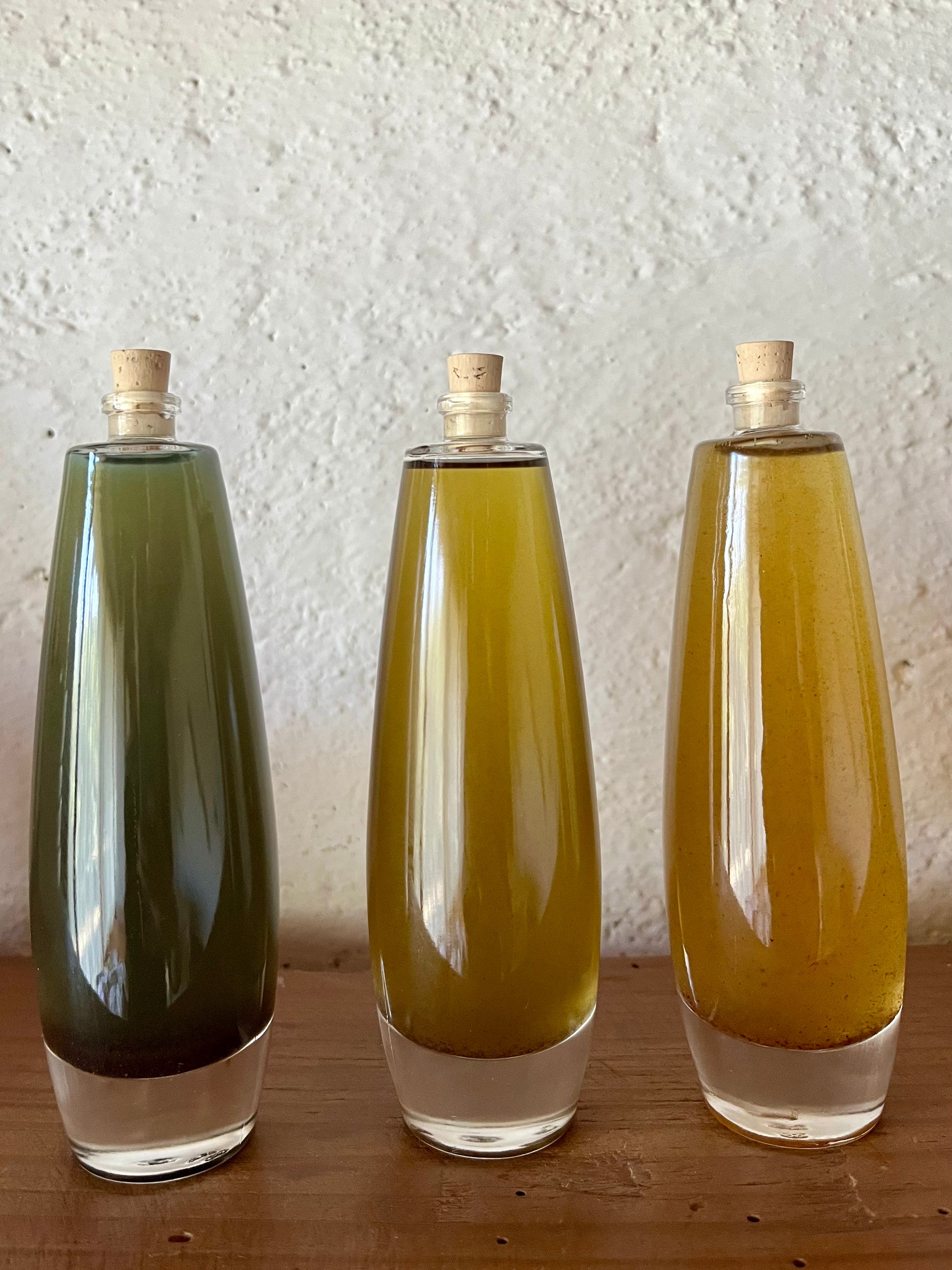 MAGIC OILS - plantas maestras - Circe | Brujería de Origen