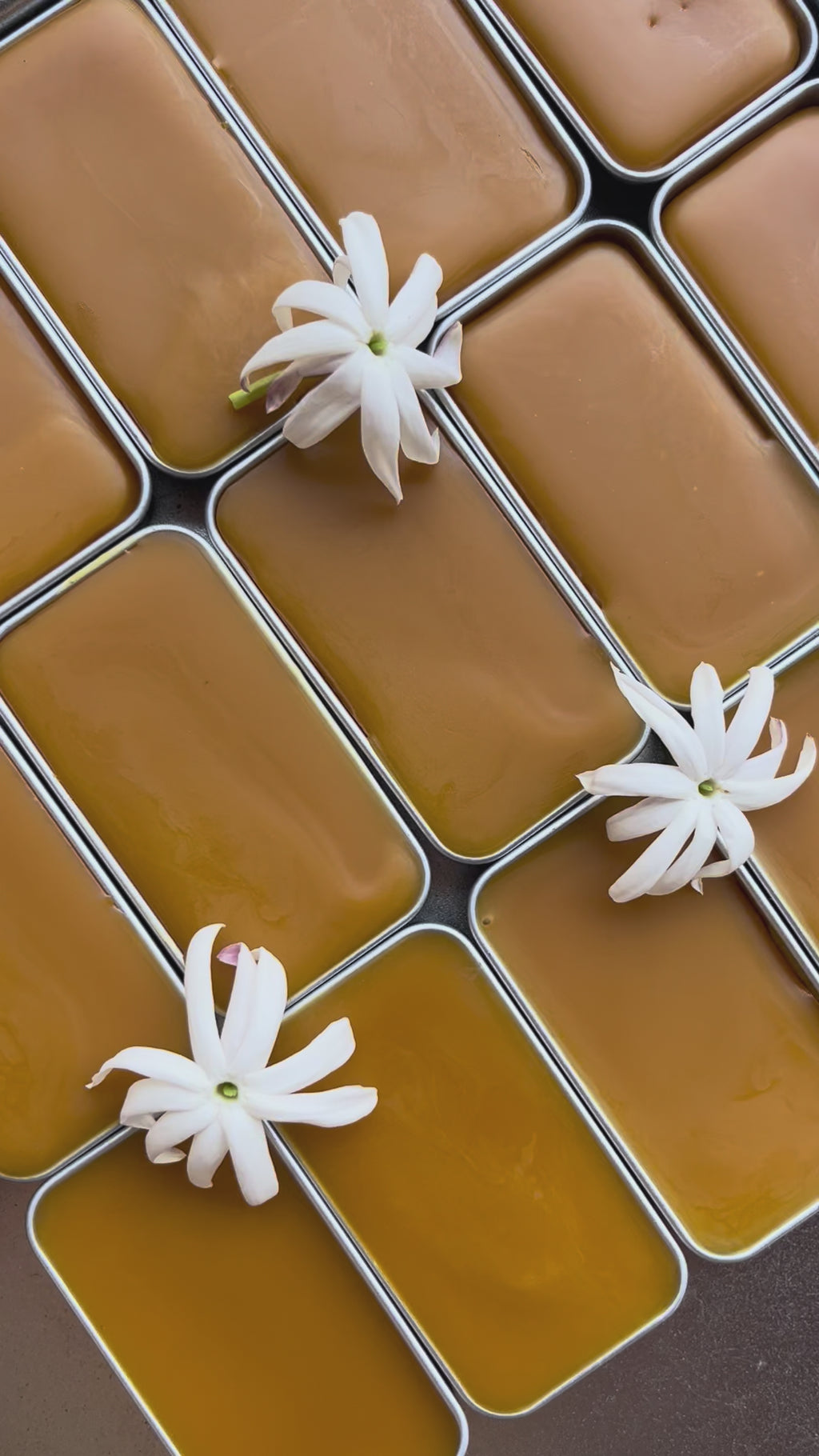 JASMIN RADIANTE botanical solid perfume